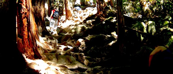 230667163_1e3e7a62bf_o